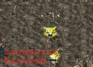 如何快速提升复古单职业传奇的等级? 如何快速提升复古单职业传奇的等级?