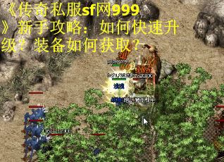 《传奇私服sf网999》新手攻略：如何快速升级？装备如何获取？