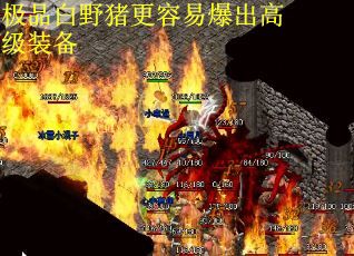 极品白野猪更容易爆出高级装备