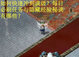 如何快速冲到满级？每日必刷任务与隐藏经验秘诀有哪些？