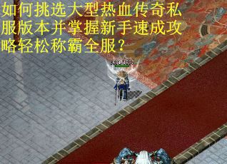 如何挑选大型热血传奇私服版本并掌握新手速成攻略轻松称霸全服？