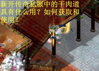 新开传奇私服中的干肉道具有什么用？如何获取和使用？