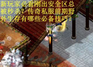 新玩家必看刚出安全区总被秒杀？传奇私服前期野外生存有哪些必备技巧？