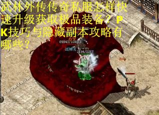 武林外传传奇私服怎样快速升级获取极品装备？PK技巧与隐藏副本攻略有哪些？
