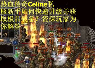 热血传奇Celine私服新手如何快速升级并获取极品装备？资深玩家为你解答