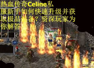 热血传奇Celine私服新手如何快速升级并获取极品装备？资深玩家为你解答