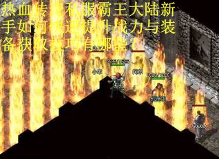 热血传奇私服霸王大陆新手如何快速提升战力与装备获取技巧有哪些？