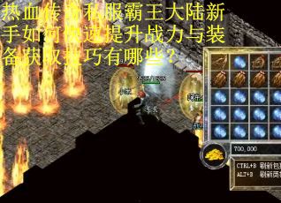 热血传奇私服霸王大陆新手如何快速提升战力与装备获取技巧有哪些？