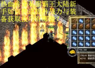 热血传奇私服霸王大陆新手如何快速提升战力与装备获取技巧有哪些？