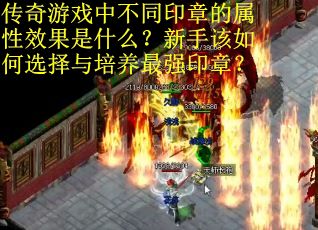 传奇游戏中不同印章的属性效果是什么？新手该如何选择与培养最强印章？