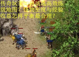 传奇玩家如何挑选高效练级地图？怪物密度与经验收益怎样平衡最合理？