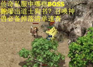 传奇私服中哪些BOSS能爆出道士狗书？召唤神兽必备掉落清单速查