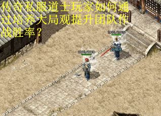 传奇私服道士玩家如何通过培养大局观提升团队作战胜率？