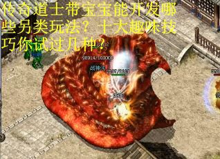 传奇道士带宝宝能开发哪些另类玩法？十大趣味技巧你试过几种？