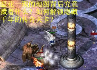 昙花一现的地图背后究竟藏着什么？如何解锁隐藏千年的传奇关卡？