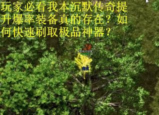 玩家必看我本沉默传奇提升爆率装备真的存在？如何快速刷取极品神器？