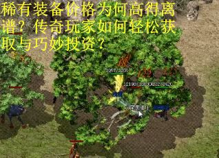 稀有装备价格为何高得离谱？传奇玩家如何轻松获取与巧妙投资？