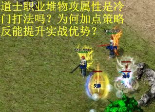 道士职业堆物攻属性是冷门打法吗？为何加点策略反能提升实战优势？