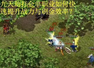 九天劫打金单职业如何快速提升战力与刷金效率？