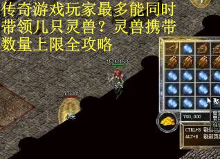 传奇游戏玩家最多能同时带领几只灵兽？灵兽携带数量上限全攻略