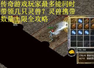 传奇游戏玩家最多能同时带领几只灵兽？灵兽携带数量上限全攻略