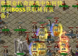 单职业传奇游戏中如何快速刷BOSS获取稀有装备？