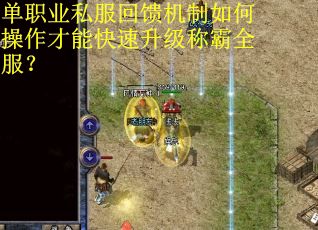 单职业私服回馈机制如何操作才能快速升级称霸全服？