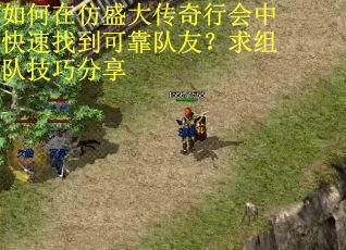 如何在仿盛大传奇行会中快速找到可靠队友？求组队技巧分享