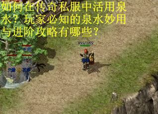 如何在传奇私服中活用泉水？玩家必知的泉水妙用与进阶攻略有哪些？