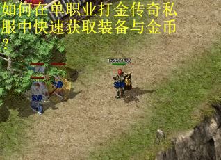 如何在单职业打金传奇私服中快速获取装备与金币？