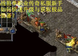 战狼单职业传奇私服新手如何快速升级与获取极品装备？