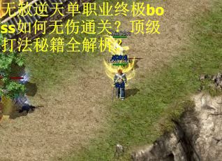 无赦逆天单职业终极boss如何无伤通关？顶级打法秘籍全解析？