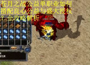 苍月之战公益单职业如何搭配良心公益与盛大授权？全攻略解析