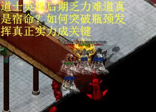 道士英雄后期乏力难道真是宿命？如何突破瓶颈发挥真正实力成关键