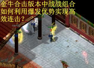 金牛合击版本中战战组合如何利用爆发优势实现高效连击？